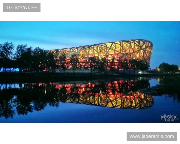 跳水运动的魅力与挑战探索：技术、心理与竞技融合的完美艺术