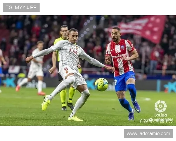 杭州排球队以79分领跑大师赛积分榜展现强大实力