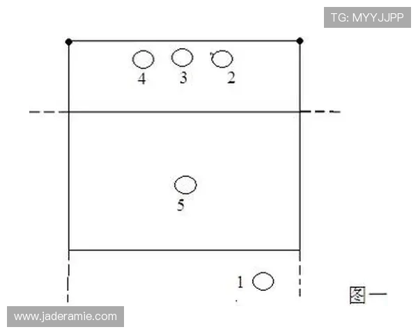 深入分析杭州排球队的转换打法及其战术优势与应用策略